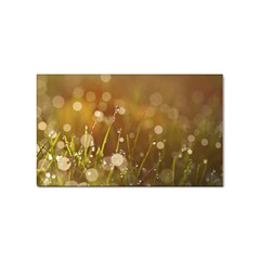 Waterdrops Sticker 100 Pack (rectangle) by Siebenhuehner