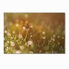 Waterdrops Postcard 4 x 6  (10 Pack) by Siebenhuehner