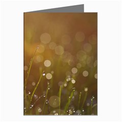 Waterdrops Greeting Card (8 Pack) by Siebenhuehner