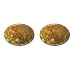 Waterdrops Cufflinks (oval)