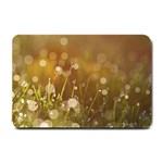 Waterdrops Small Door Mat 24 x16  Door Mat