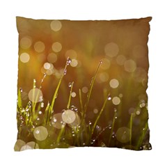 Waterdrops Cushion Case (single Sided) 