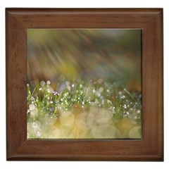 Sundrops Framed Ceramic Tile