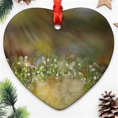 Sundrops Heart Ornament