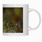 Sundrops White Coffee Mug Right