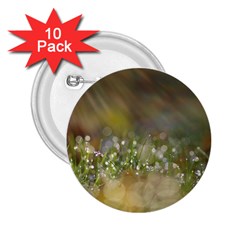 Sundrops 2 25  Button (10 Pack)