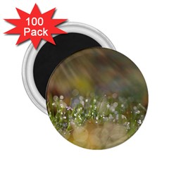 Sundrops 2 25  Button Magnet (100 Pack)