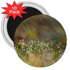 Sundrops 3  Button Magnet (10 Pack)