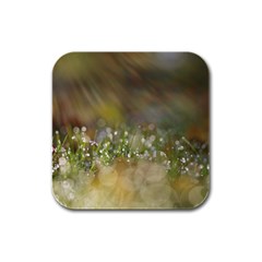 Sundrops Drink Coasters 4 Pack (square) by Siebenhuehner