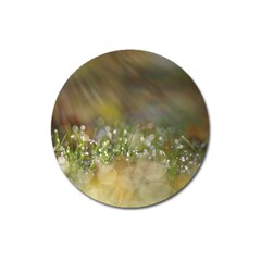 Sundrops Magnet 3  (round)