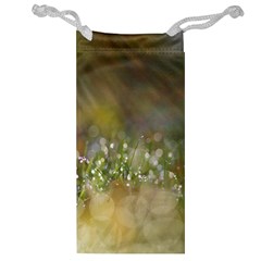 Sundrops Jewelry Bag