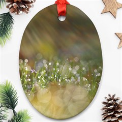 Sundrops Oval Ornament (two Sides) by Siebenhuehner