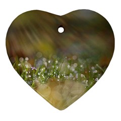 Sundrops Heart Ornament (two Sides) by Siebenhuehner