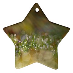 Sundrops Star Ornament (two Sides) by Siebenhuehner