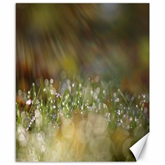 Sundrops Canvas 8  X 10  (unframed)