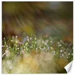 Sundrops Canvas 16  X 16  (unframed) by Siebenhuehner