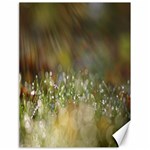 Sundrops Canvas 18  x 24  (Unframed) 17.8 x23.08  Canvas - 1