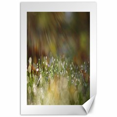 Sundrops Canvas 24  X 36  (unframed)