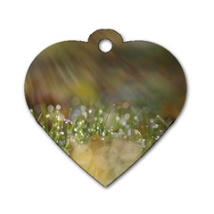 Sundrops Dog Tag Heart (one Sided)  by Siebenhuehner