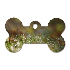 Sundrops Dog Tag Bone (one Sided)