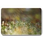 Sundrops Large Door Mat 30 x20  Door Mat