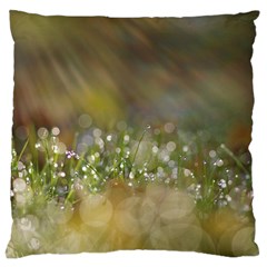 Sundrops Large Cushion Case (single Sided)  by Siebenhuehner