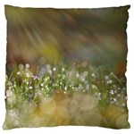 Sundrops Large Cushion Case (Single Sided)  Front