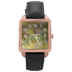 Sundrops Rose Gold Leather Watch 