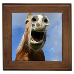 Haflinger  Framed Ceramic Tile