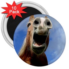 Haflinger  3  Button Magnet (10 Pack) by Siebenhuehner