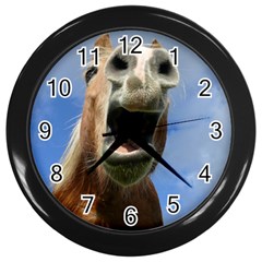 Haflinger  Wall Clock (black) by Siebenhuehner