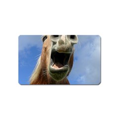 Haflinger  Magnet (name Card) by Siebenhuehner