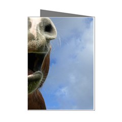 Haflinger  Mini Greeting Card (8 Pack) by Siebenhuehner