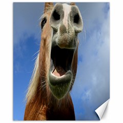 Haflinger  Canvas 16  X 20  (unframed) by Siebenhuehner