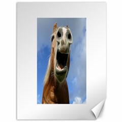 Haflinger  Canvas 36  X 48  (unframed) by Siebenhuehner