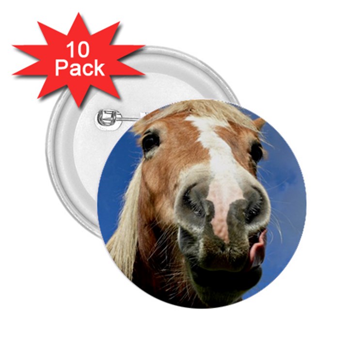 Haflinger  2.25  Button (10 pack)