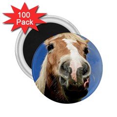 Haflinger  2 25  Button Magnet (100 Pack)