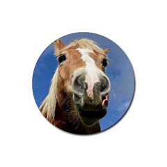 Haflinger  Drink Coaster (round) by Siebenhuehner