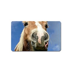 Haflinger  Magnet (name Card)