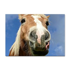 Haflinger  A4 Sticker 100 Pack by Siebenhuehner