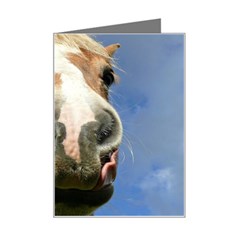 Haflinger  Mini Greeting Card by Siebenhuehner