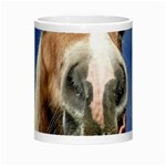 Haflinger  Morph Mug Center