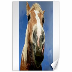 Haflinger  Canvas 24  X 36  (unframed) by Siebenhuehner