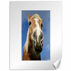 Haflinger  Canvas 36  X 48  (unframed) by Siebenhuehner