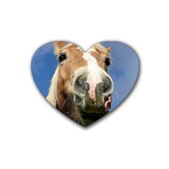 Haflinger  Drink Coasters (heart) by Siebenhuehner