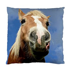 Haflinger  Cushion Case (single Sided) 