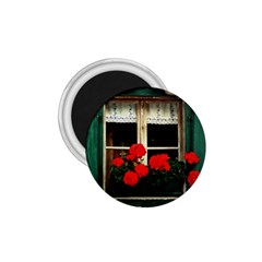 Window 1.75  Button Magnet