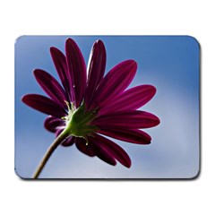 Daisy Small Mouse Pad (rectangle) by Siebenhuehner