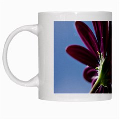 Daisy White Coffee Mug by Siebenhuehner