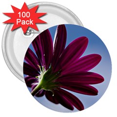 Daisy 3  Button (100 Pack)